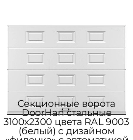 sekczionnyie-vorota-doorhan-stalnyie-3100x2300-czveta-ral-9003-belyij-s-dizajnom-«filenka»-s-avtomatikoj