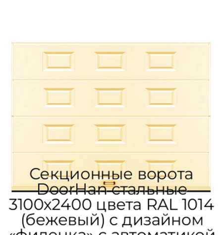 sekczionnyie-vorota-doorhan-stalnyie-3100x2400-czveta-ral-1014-bezhevyij-s-dizajnom-«filenka»-s-avtomatikoj