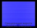 sekczionnyie-vorota-doorhan-stalnyie-3100x2400-czveta-ral-5005-sinij-s-dizajnom-«volna»-bez-avtomatiki