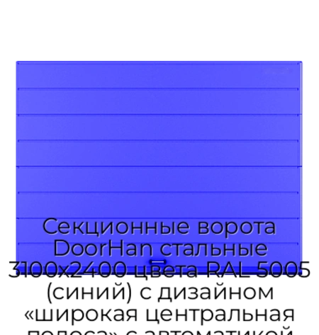 sekczionnyie-vorota-doorhan-stalnyie-3100x2400-czveta-ral-5005-sinij-s-dizajnom-«shirokaya-czentralnaya-polosa»-s-avtomatikoj
