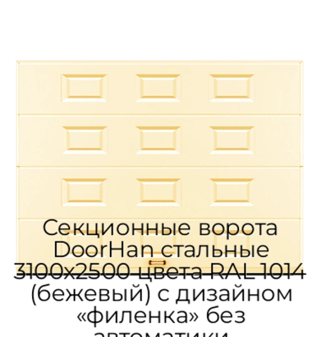sekczionnyie-vorota-doorhan-stalnyie-3100x2500-czveta-ral-1014-bezhevyij-s-dizajnom-«filenka»-bez-avtomatiki