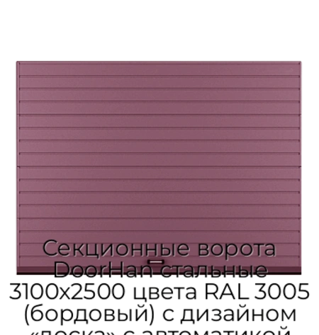 sekczionnyie-vorota-doorhan-stalnyie-3100x2500-czveta-ral-3005-bordovyij-s-dizajnom-«doska»-s-avtomatikoj