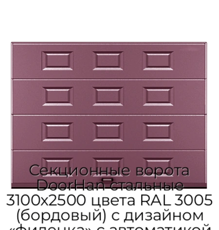 sekczionnyie-vorota-doorhan-stalnyie-3100x2500-czveta-ral-3005-bordovyij-s-dizajnom-«filenka»-s-avtomatikoj