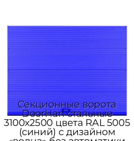 sekczionnyie-vorota-doorhan-stalnyie-3100x2500-czveta-ral-5005-sinij-s-dizajnom-«volna»-bez-avtomatiki