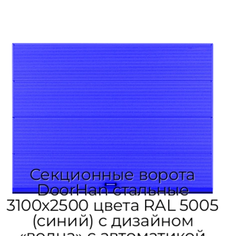 sekczionnyie-vorota-doorhan-stalnyie-3100x2500-czveta-ral-5005-sinij-s-dizajnom-«volna»-s-avtomatikoj