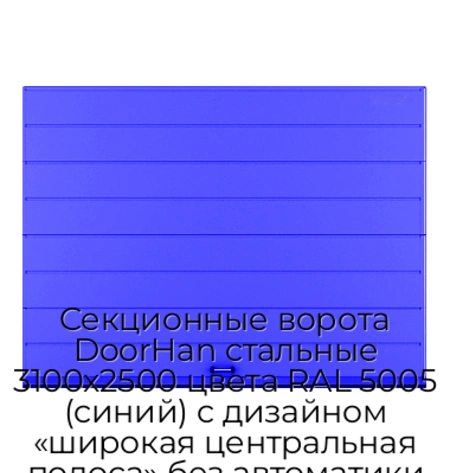 sekczionnyie-vorota-doorhan-stalnyie-3100x2500-czveta-ral-5005-sinij-s-dizajnom-«shirokaya-czentralnaya-polosa»-bez-avtomatiki