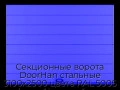 sekczionnyie-vorota-doorhan-stalnyie-3100x2500-czveta-ral-5005-sinij-s-dizajnom-«shirokaya-czentralnaya-polosa»-bez-avtomatiki