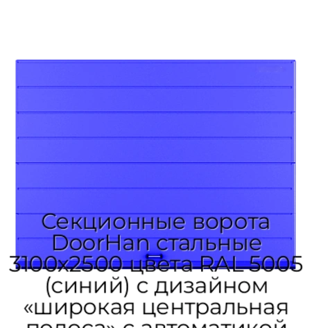 sekczionnyie-vorota-doorhan-stalnyie-3100x2500-czveta-ral-5005-sinij-s-dizajnom-«shirokaya-czentralnaya-polosa»-s-avtomatikoj