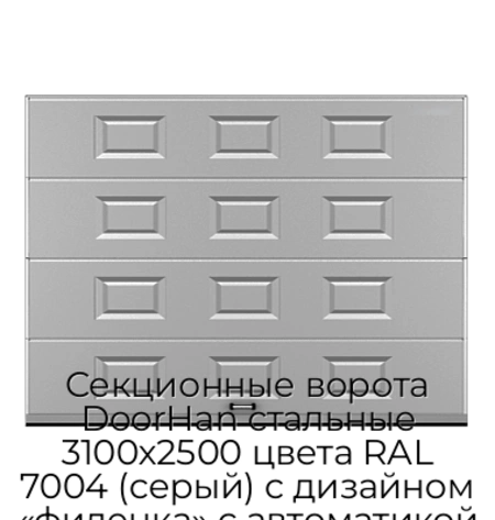 sekczionnyie-vorota-doorhan-stalnyie-3100x2500-czveta-ral-7004-seryij-s-dizajnom-«filenka»-s-avtomatikoj