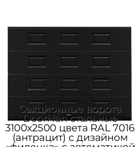 sekczionnyie-vorota-doorhan-stalnyie-3100x2500-czveta-ral-7016-antraczit-s-dizajnom-«filenka»-s-avtomatikoj
