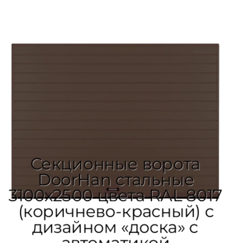 sekczionnyie-vorota-doorhan-stalnyie-3100x2500-czveta-ral-8017-korichnevo-krasnyij-s-dizajnom-«doska»-s-avtomatikoj