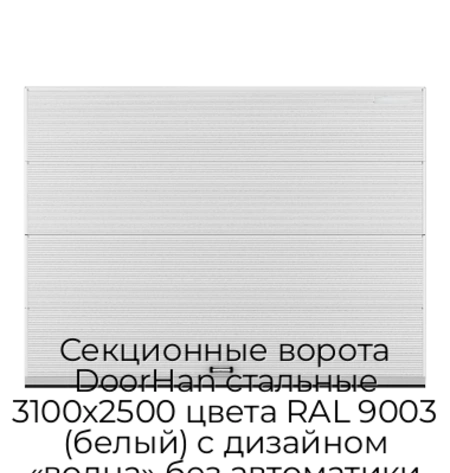 sekczionnyie-vorota-doorhan-stalnyie-3100x2500-czveta-ral-9003-belyij-s-dizajnom-«volna»-bez-avtomatiki