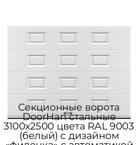 sekczionnyie-vorota-doorhan-stalnyie-3100x2500-czveta-ral-9003-belyij-s-dizajnom-«filenka»-s-avtomatikoj