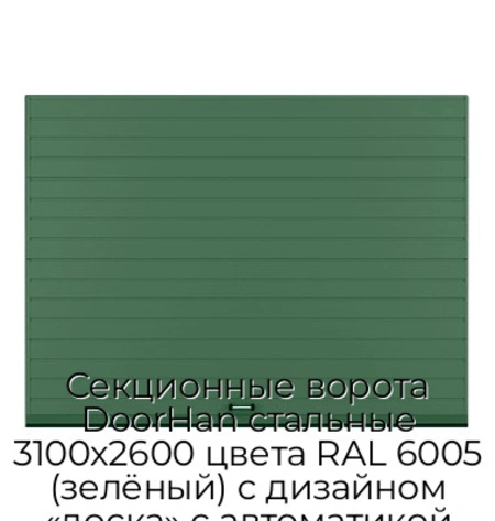 sekczionnyie-vorota-doorhan-stalnyie-3100x2600-czveta-ral-6005-zelyonyij-s-dizajnom-«doska»-s-avtomatikoj