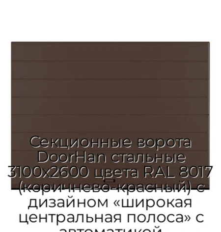 sekczionnyie-vorota-doorhan-stalnyie-3100x2600-czveta-ral-8017-korichnevo-krasnyij-s-dizajnom-«shirokaya-czentralnaya-polosa»-s-avtomatikoj