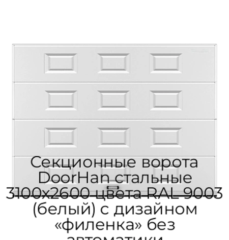 sekczionnyie-vorota-doorhan-stalnyie-3100x2600-czveta-ral-9003-belyij-s-dizajnom-«filenka»-bez-avtomatiki