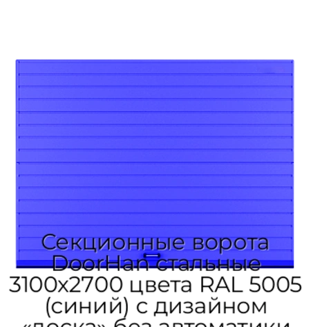 sekczionnyie-vorota-doorhan-stalnyie-3100x2700-czveta-ral-5005-sinij-s-dizajnom-«doska»-bez-avtomatiki