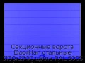 sekczionnyie-vorota-doorhan-stalnyie-3100x2700-czveta-ral-5005-sinij-s-dizajnom-«shirokaya-czentralnaya-polosa»-bez-avtomatiki