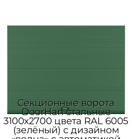 sekczionnyie-vorota-doorhan-stalnyie-3100x2700-czveta-ral-6005-zelyonyij-s-dizajnom-«volna»-s-avtomatikoj