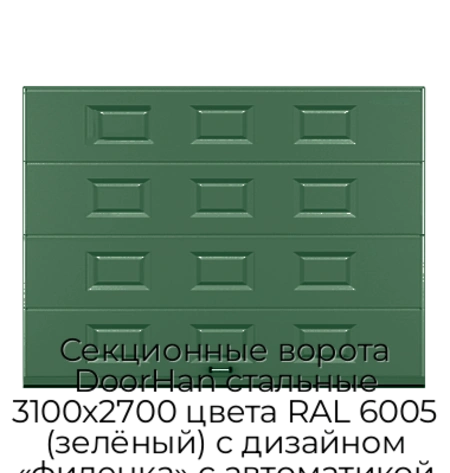 sekczionnyie-vorota-doorhan-stalnyie-3100x2700-czveta-ral-6005-zelyonyij-s-dizajnom-«filenka»-s-avtomatikoj