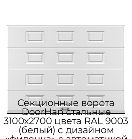 sekczionnyie-vorota-doorhan-stalnyie-3100x2700-czveta-ral-9003-belyij-s-dizajnom-«filenka»-s-avtomatikoj