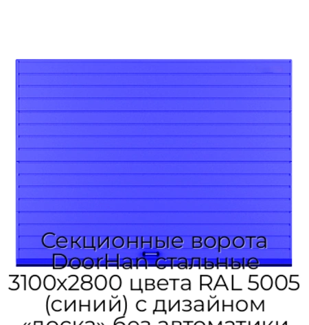 sekczionnyie-vorota-doorhan-stalnyie-3100x2800-czveta-ral-5005-sinij-s-dizajnom-«doska»-bez-avtomatiki