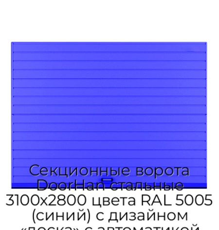 sekczionnyie-vorota-doorhan-stalnyie-3100x2800-czveta-ral-5005-sinij-s-dizajnom-«doska»-s-avtomatikoj