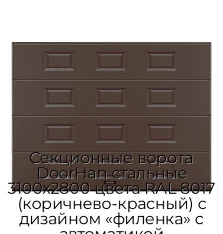 sekczionnyie-vorota-doorhan-stalnyie-3100x2800-czveta-ral-8017-korichnevo-krasnyij-s-dizajnom-«filenka»-s-avtomatikoj