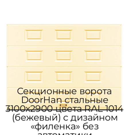 sekczionnyie-vorota-doorhan-stalnyie-3100x2900-czveta-ral-1014-bezhevyij-s-dizajnom-«filenka»-bez-avtomatiki