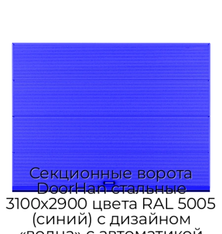 sekczionnyie-vorota-doorhan-stalnyie-3100x2900-czveta-ral-5005-sinij-s-dizajnom-«volna»-s-avtomatikoj