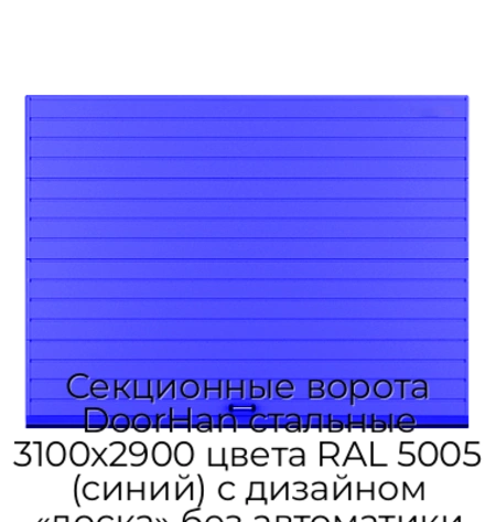 sekczionnyie-vorota-doorhan-stalnyie-3100x2900-czveta-ral-5005-sinij-s-dizajnom-«doska»-bez-avtomatiki