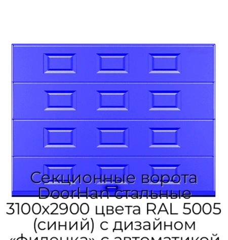 sekczionnyie-vorota-doorhan-stalnyie-3100x2900-czveta-ral-5005-sinij-s-dizajnom-«filenka»-s-avtomatikoj