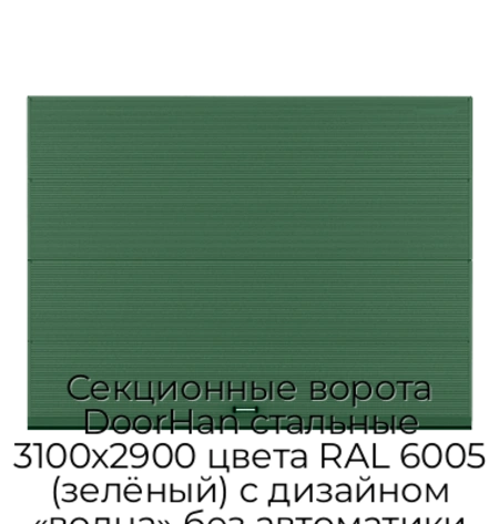 sekczionnyie-vorota-doorhan-stalnyie-3100x2900-czveta-ral-6005-zelyonyij-s-dizajnom-«volna»-bez-avtomatiki