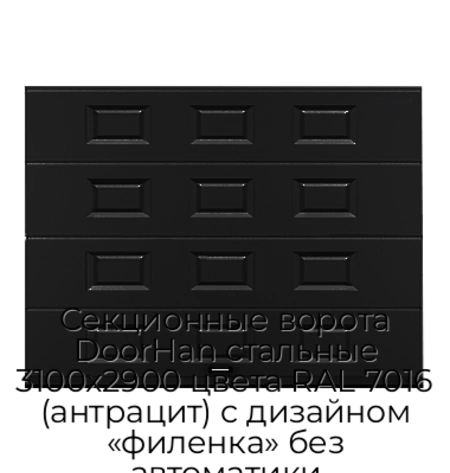sekczionnyie-vorota-doorhan-stalnyie-3100x2900-czveta-ral-7016-antraczit-s-dizajnom-«filenka»-bez-avtomatiki