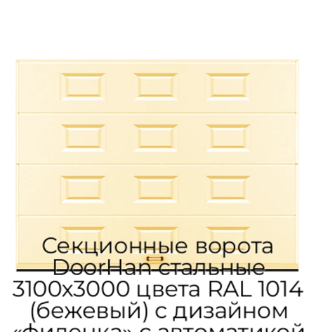 sekczionnyie-vorota-doorhan-stalnyie-3100x3000-czveta-ral-1014-bezhevyij-s-dizajnom-«filenka»-s-avtomatikoj