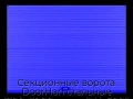 sekczionnyie-vorota-doorhan-stalnyie-3100x3000-czveta-ral-5005-sinij-s-dizajnom-«volna»-bez-avtomatiki