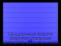 sekczionnyie-vorota-doorhan-stalnyie-3200x2100-czveta-ral-5005-sinij-s-dizajnom-«shirokaya-czentralnaya-polosa»-s-avtomatikoj
