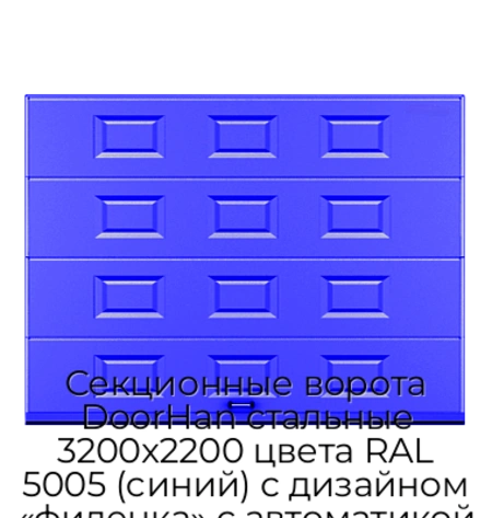 sekczionnyie-vorota-doorhan-stalnyie-3200x2200-czveta-ral-5005-sinij-s-dizajnom-«filenka»-s-avtomatikoj
