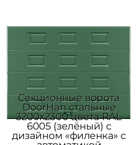 sekczionnyie-vorota-doorhan-stalnyie-3200x2300-czveta-ral-6005-zelyonyij-s-dizajnom-«filenka»-s-avtomatikoj