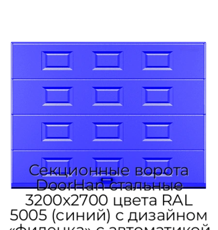 sekczionnyie-vorota-doorhan-stalnyie-3200x2700-czveta-ral-5005-sinij-s-dizajnom-«filenka»-s-avtomatikoj