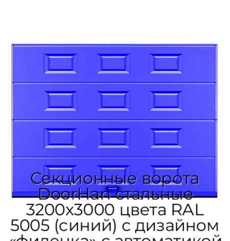 sekczionnyie-vorota-doorhan-stalnyie-3200x3000-czveta-ral-5005-sinij-s-dizajnom-«filenka»-s-avtomatikoj