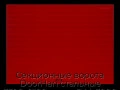 sekczionnyie-vorota-doorhan-stalnyie-3300x2100-czveta-ral-3000-krasnyij-s-dizajnom-«doska»-s-avtomatikoj