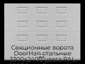 sekczionnyie-vorota-doorhan-stalnyie-3300x2400-czveta-ral-9006-serebristyij-s-dizajnom-«filenka»-s-avtomatikoj