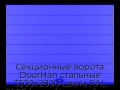 sekczionnyie-vorota-doorhan-stalnyie-3300x2800-czveta-ral-5005-sinij-s-dizajnom-«shirokaya-czentralnaya-polosa»-bez-avtomatiki