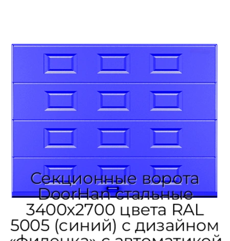 sekczionnyie-vorota-doorhan-stalnyie-3400x2700-czveta-ral-5005-sinij-s-dizajnom-«filenka»-s-avtomatikoj