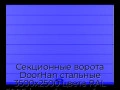 sekczionnyie-vorota-doorhan-stalnyie-3500x2500-czveta-ral-5005-sinij-s-dizajnom-«shirokaya-czentralnaya-polosa»-bez-avtomatiki