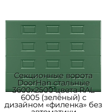 sekczionnyie-vorota-doorhan-stalnyie-3600x2500-czveta-ral-6005-zelyonyij-s-dizajnom-«filenka»-bez-avtomatiki