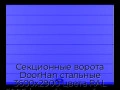 sekczionnyie-vorota-doorhan-stalnyie-3600x2900-czveta-ral-5005-sinij-s-dizajnom-«shirokaya-czentralnaya-polosa»-s-avtomatikoj