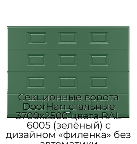 sekczionnyie-vorota-doorhan-stalnyie-3700x2500-czveta-ral-6005-zelyonyij-s-dizajnom-«filenka»-bez-avtomatiki
