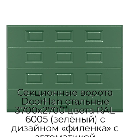 sekczionnyie-vorota-doorhan-stalnyie-3700x2700-czveta-ral-6005-zelyonyij-s-dizajnom-«filenka»-s-avtomatikoj